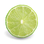 A halved lime with vibrant green flesh and a white background.