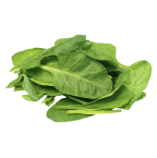 Fresh spinach leaves on a white background.